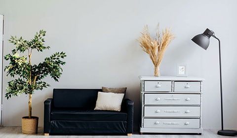 interior-designer-sofa