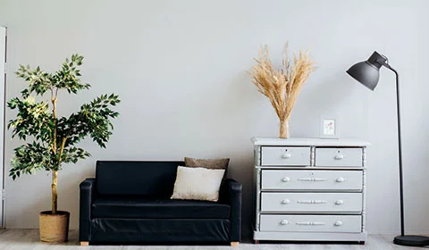 interior-designer-sofa